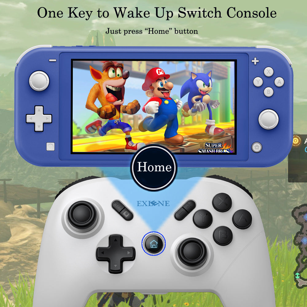 Wireless Switch Pro Controller for Switch/Switch Lite, 1000mAh