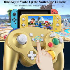 Exlene Gamecube Switch Pro Controller for Nintendo Switch